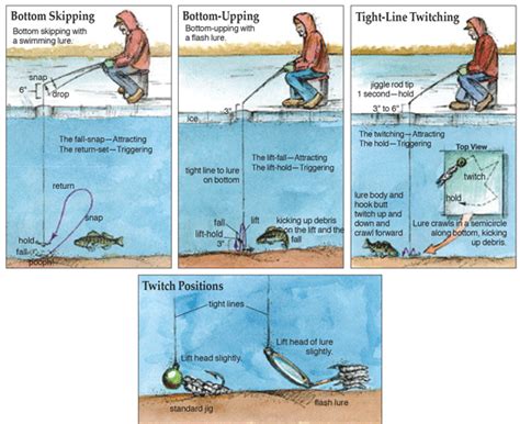 How to Catch  Perch .